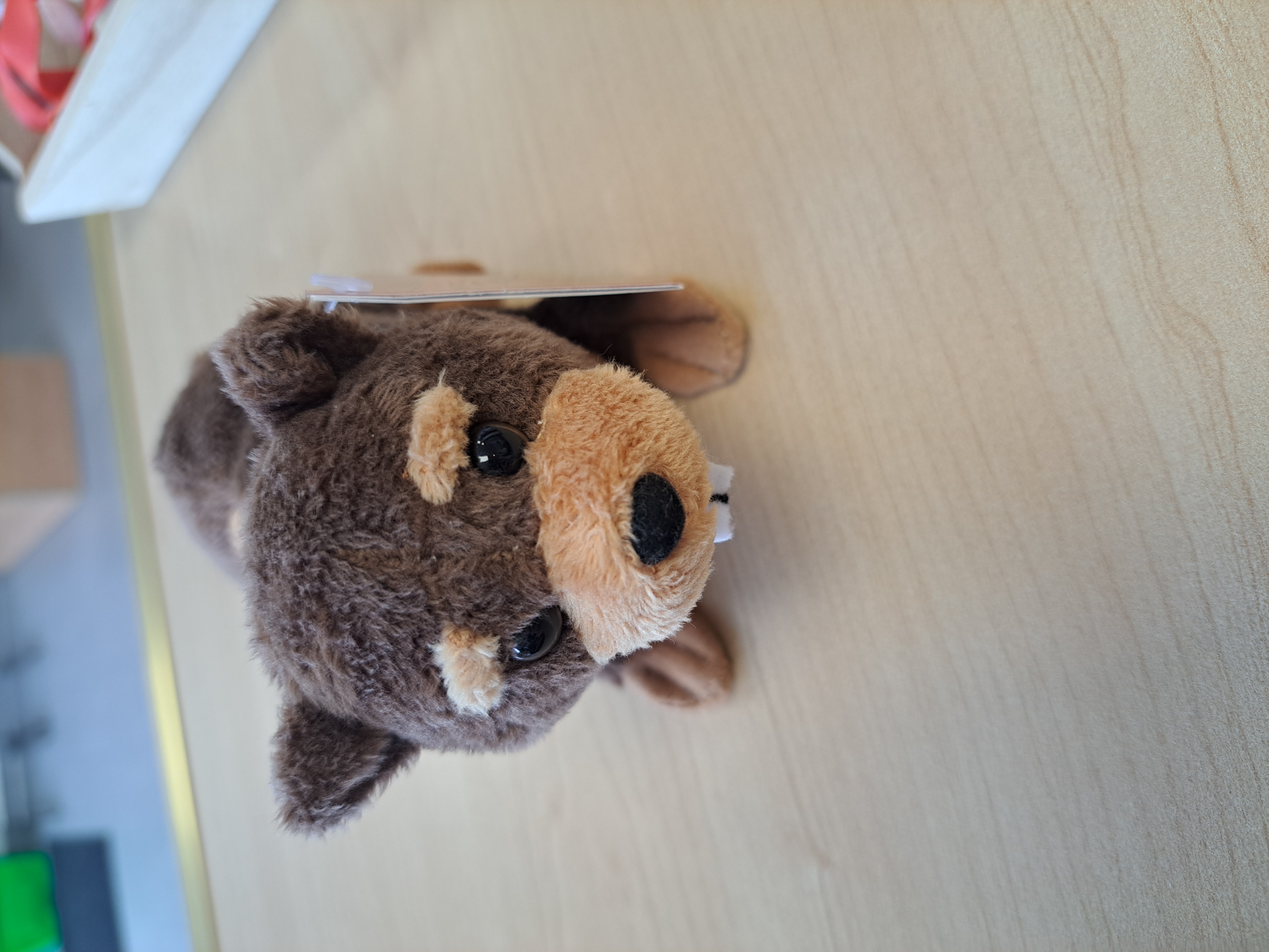 Marionnette à doigt Castor